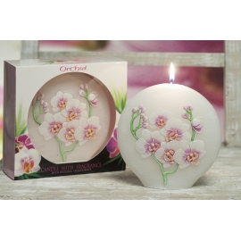 Orchidea